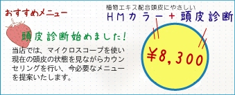 �������߃��j���[�@�A���G�L�X�z������ɂ₳�����@HM�J���[�{����f�f�@\8,300�B����f�f�n�߂܂����I���X�ł́A�}�C�N���X�R�[�v���g�����݂̓���̏�Ԃ����Ȃ���J�E���Z�����O���s���A���K�v�ȃ��j���[���Ă������܂��B